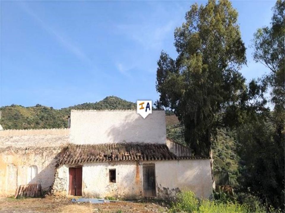 Helårsgrund i Comares, Malaga - foto 5