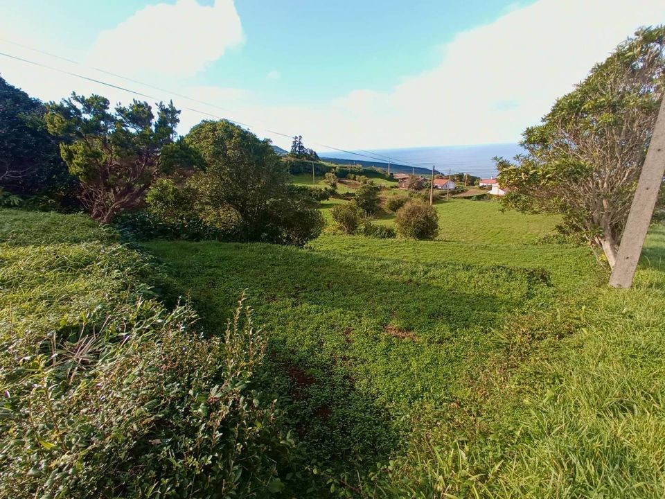 Landejendom i Horta, Faial - foto 3
