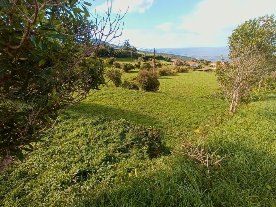 Landejendom i Horta, Faial - foto 5