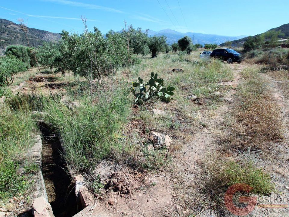 Tomt i Velez De Benaudalla, Granada - bilde 2