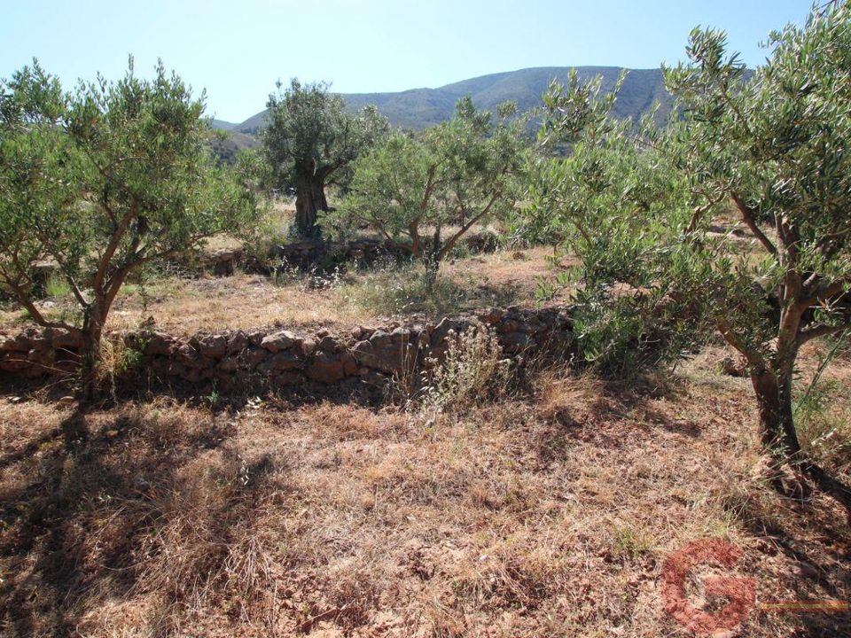 Tomt i Velez De Benaudalla, Granada - bilde 3