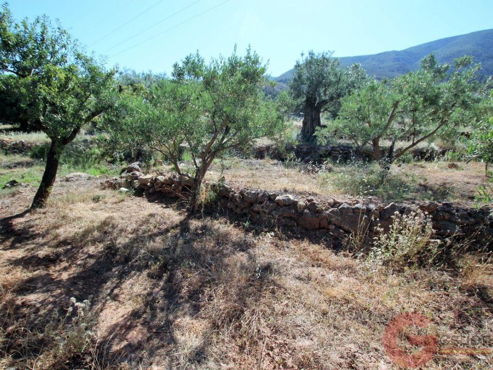 Tomt i Velez De Benaudalla, Granada - bilde 5