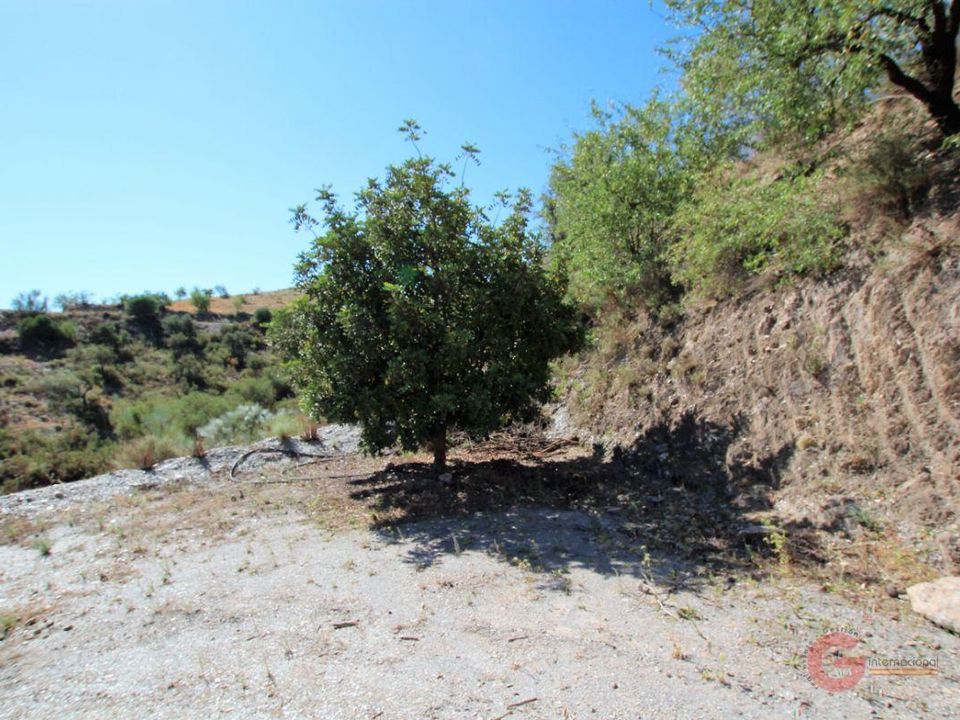 Finca i Velez De Benaudalla, Granada - foto 5