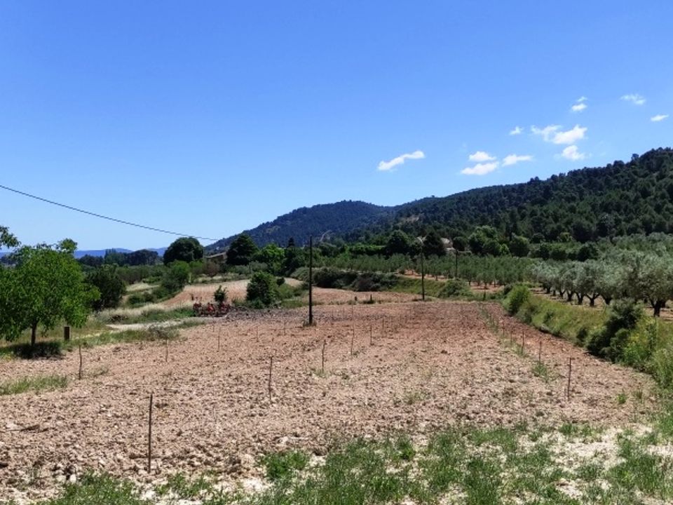 Finca i Bocairent, Valencia - foto 4