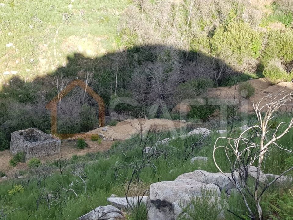 Farm i Gouveia, Guarda - foto 4