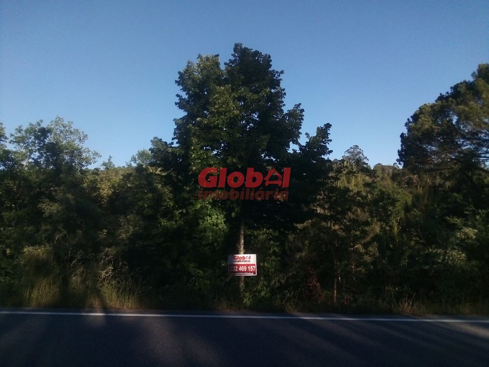 Helårsgrund i Viseu, Viseu - foto 3