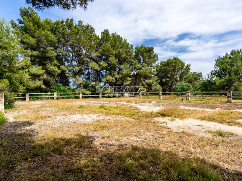 Terra a Javea, Alicante - foto 2
