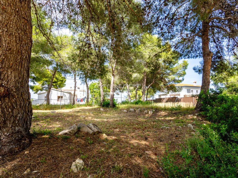 Terra a Javea, Alicante - foto 3