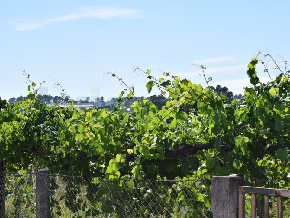 Erhvervsejendom i Moncao, Viana do Castelo - foto 4