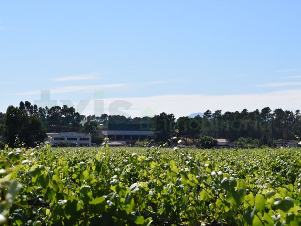 Erhvervsejendom i Moncao, Viana do Castelo - foto 5