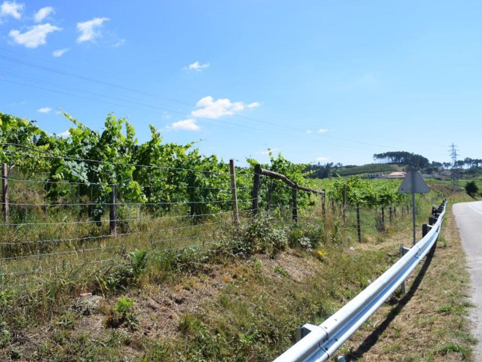 Helårsgrund i Moncao, Viana do Castelo - foto 2