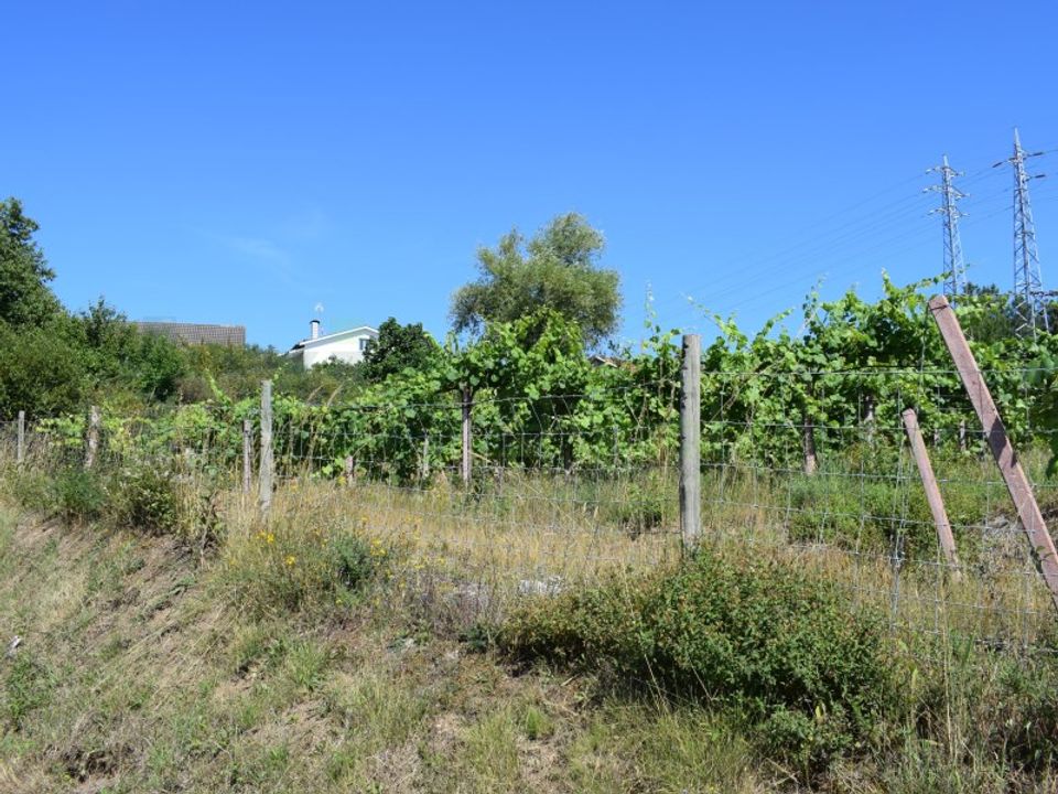 Helårsgrund i Moncao, Viana do Castelo - foto 3