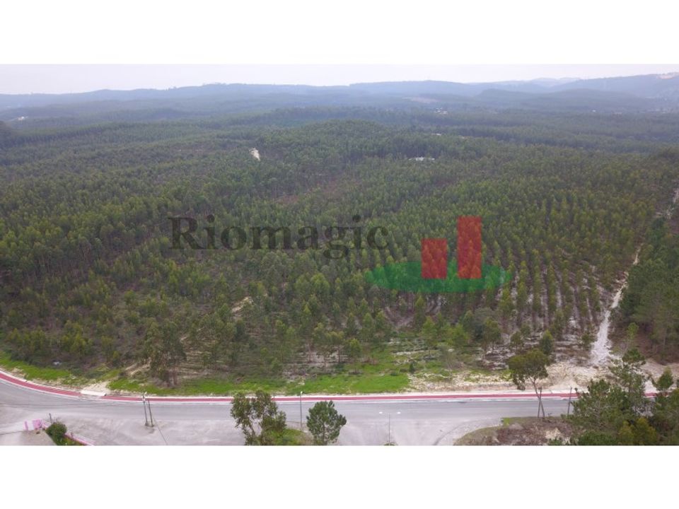 Helårsgrund i Rio Maior, Santarem - foto 2