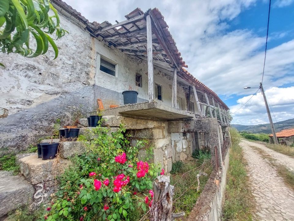Farm i Lamego, Viseu - foto 1
