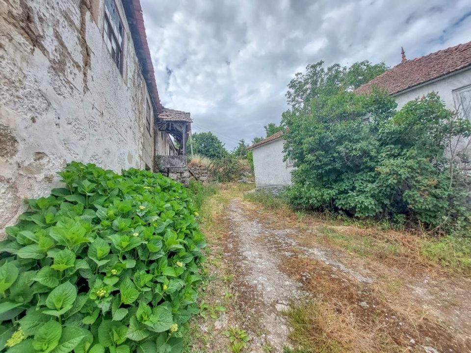 Farm i Lamego, Viseu - foto 4