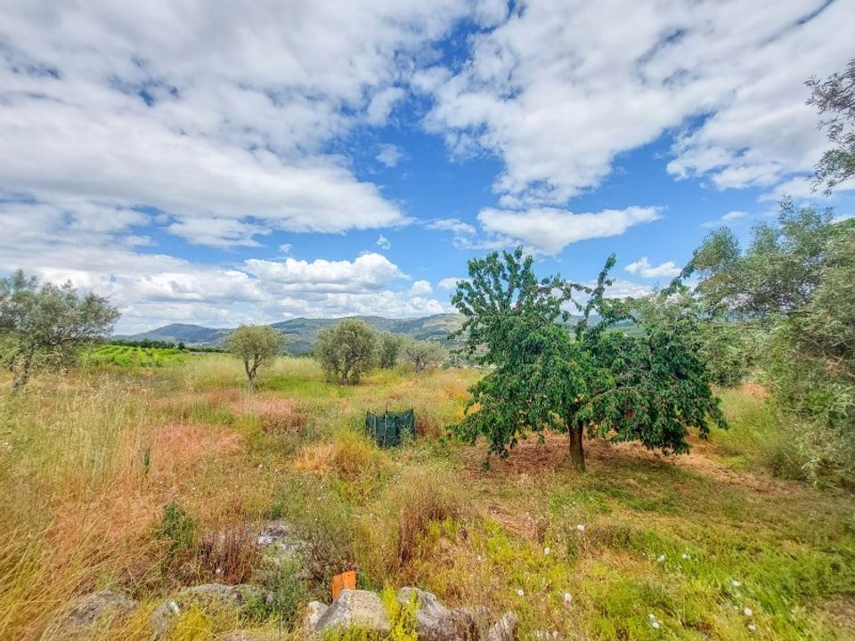Farm i Lamego, Viseu - foto 5