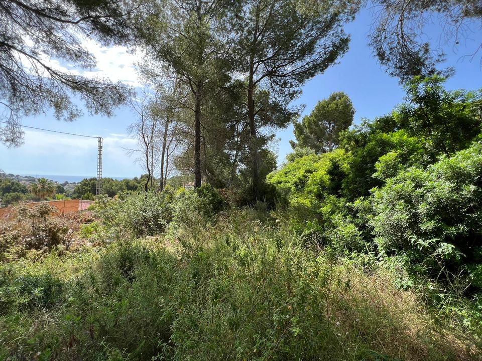Helårsgrund i Benissa, Alicante - foto 3