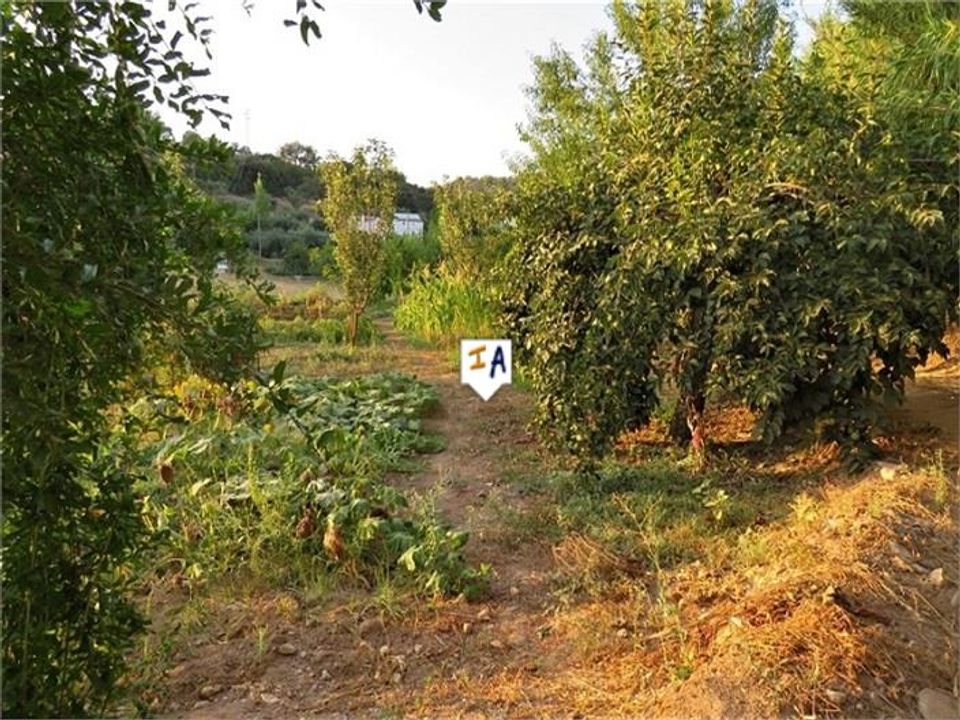 Cortijo i Fuensanta De Martos, Jaen - foto 3