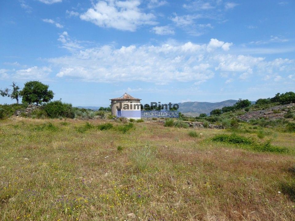Helårsgrund i Figueira de Castelo Rodrigo, Guarda - foto 4