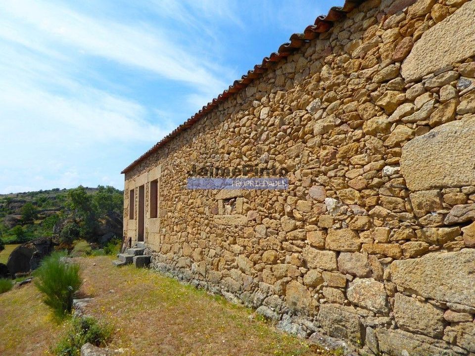 Helårsgrund i Figueira de Castelo Rodrigo, Guarda - foto 3