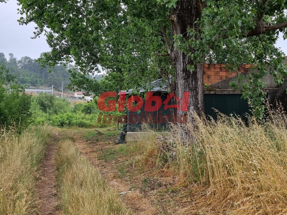 Farm i Viseu, Viseu - foto 4