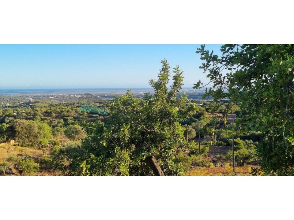 Helårsgrund i Estoi, Faro - foto 1