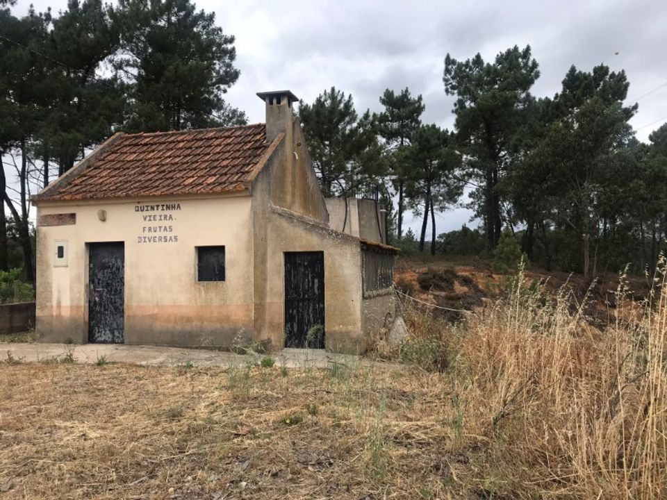 Farm i Torres Novas, Santarem - foto 1