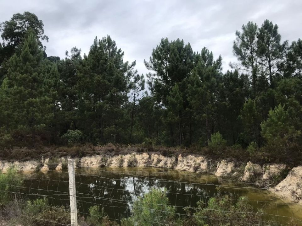 Farm i Torres Novas, Santarem - foto 4