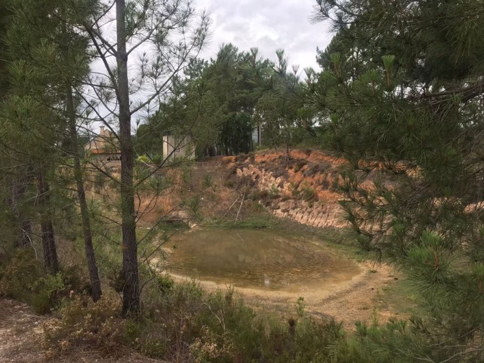 Farm i Torres Novas, Santarem - foto 3