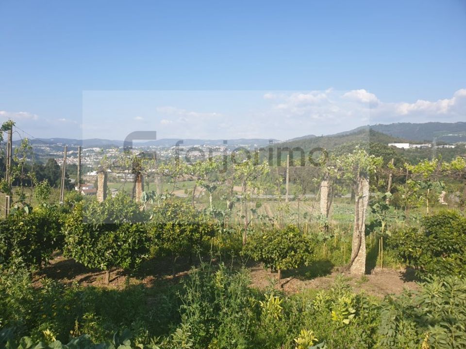 Farm i Guimaraes, Braga - foto 2