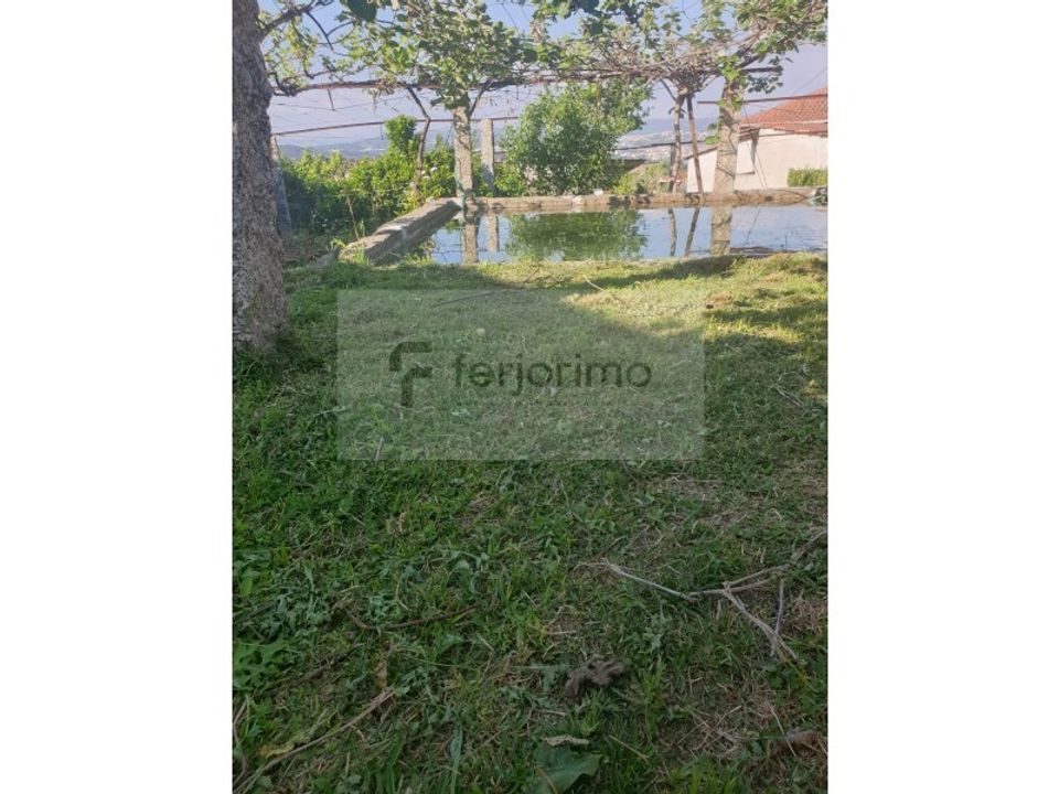 Farm i Guimaraes, Braga - foto 3