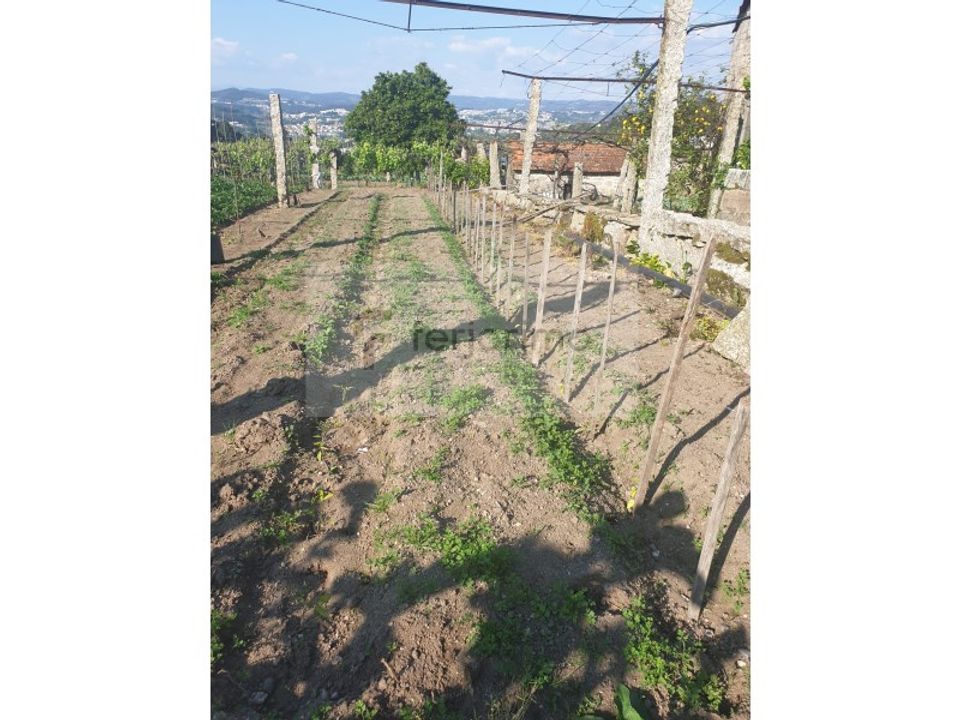 Farm i Guimaraes, Braga - foto 4