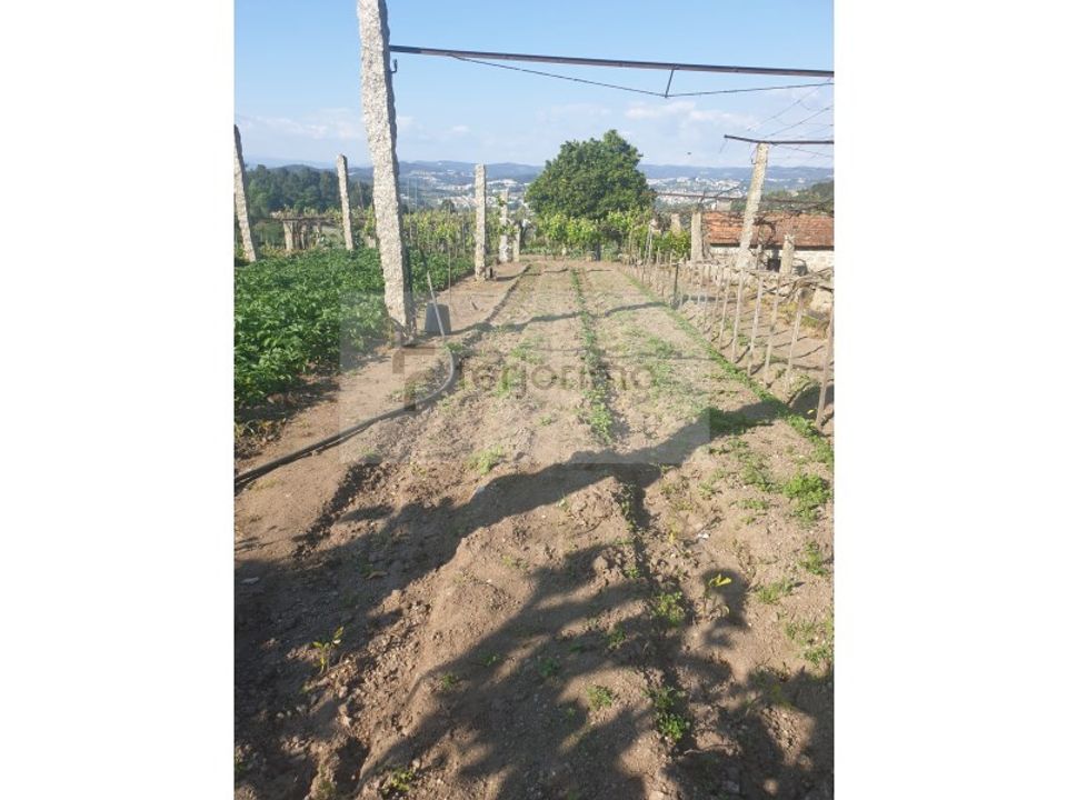 Farm i Guimaraes, Braga - foto 5