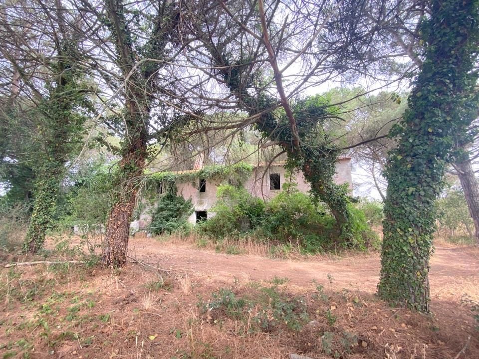 Gård i Castiglione del Lago, Perugia - bilde 3