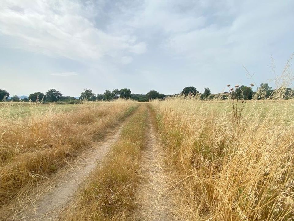 Gård i Castiglione del Lago, Perugia - bilde 1