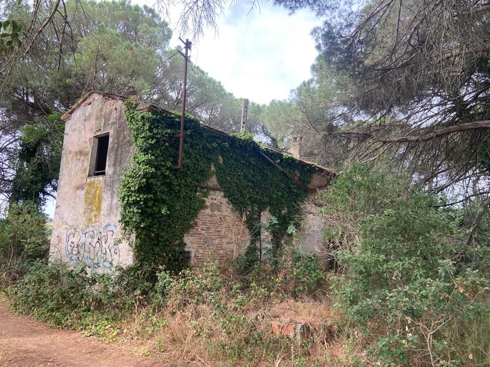 Gård i Castiglione del Lago, Perugia - bilde 2