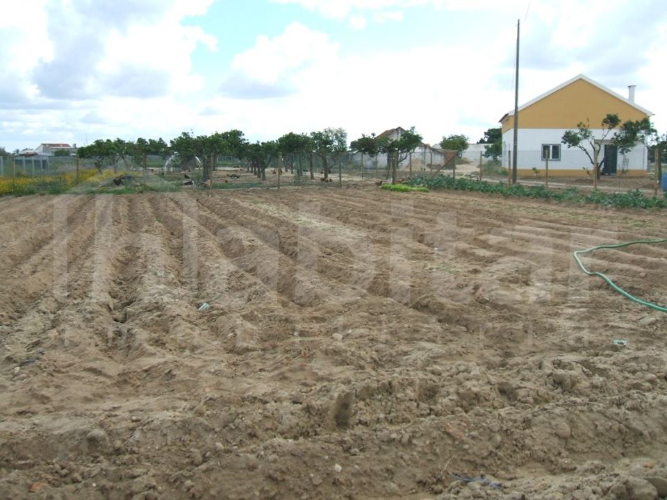Farm i Benavente, Santarem - foto 2