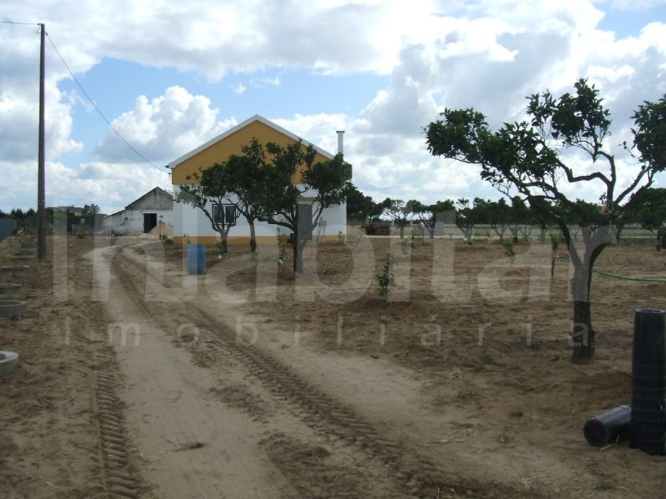 Farm i Benavente, Santarem - foto 3
