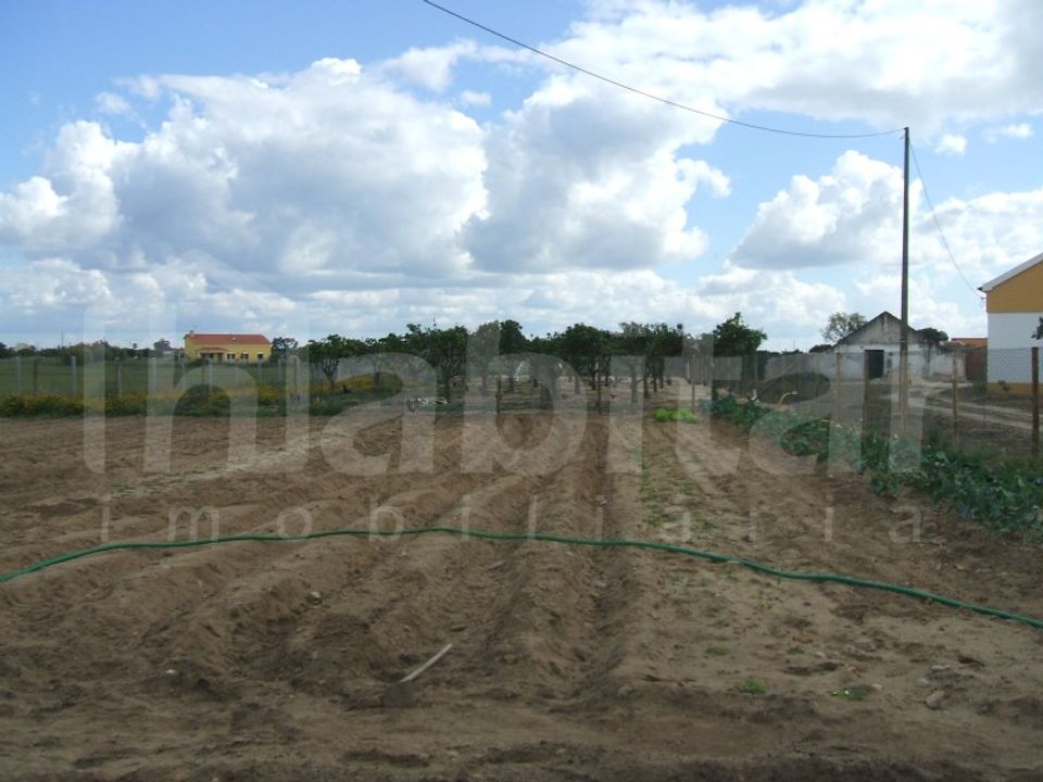 Farm i Benavente, Santarem - foto 4