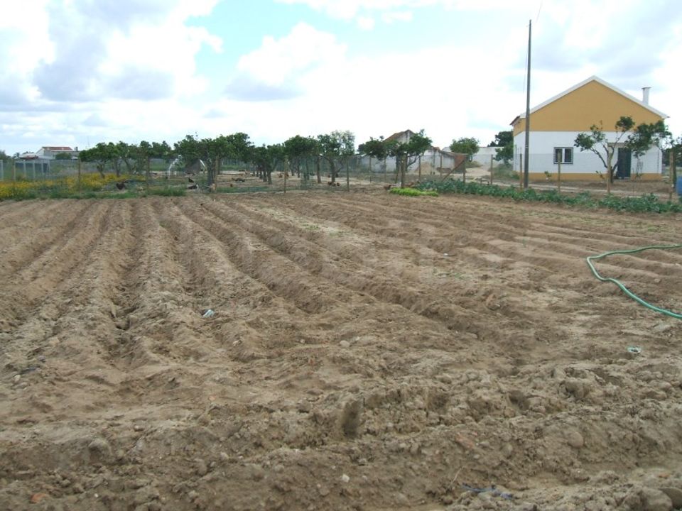 Helårsgrund i Benavente, Santarem - foto 2