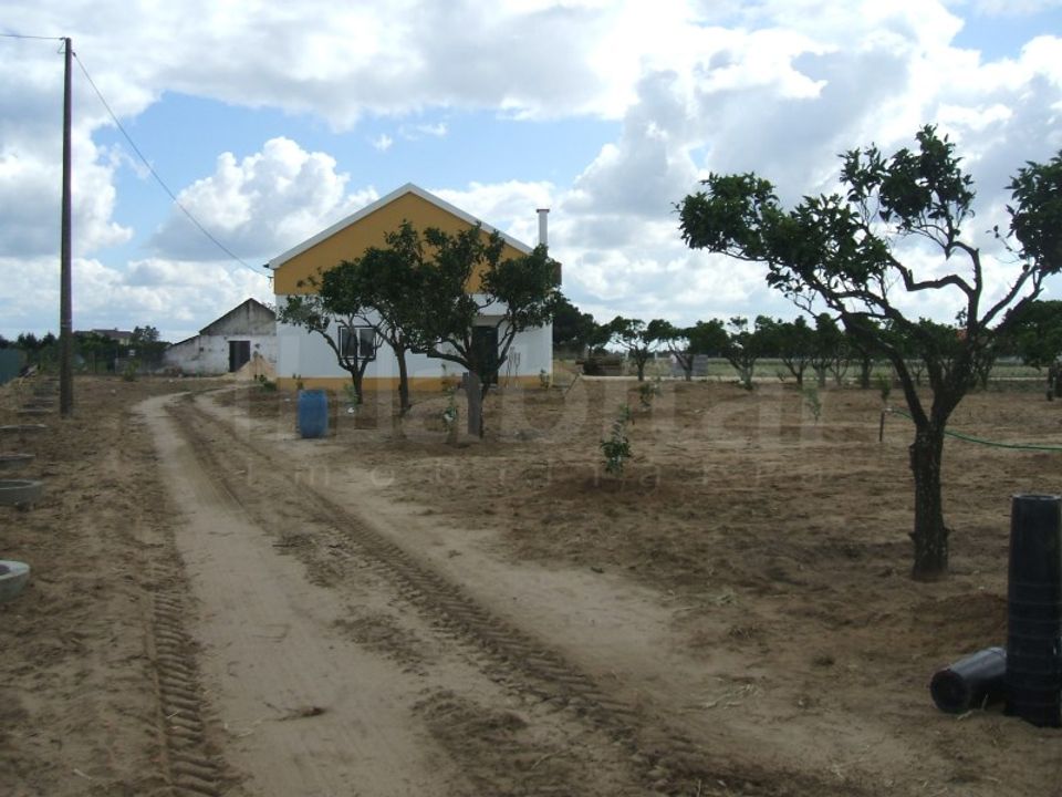 Helårsgrund i Benavente, Santarem - foto 3