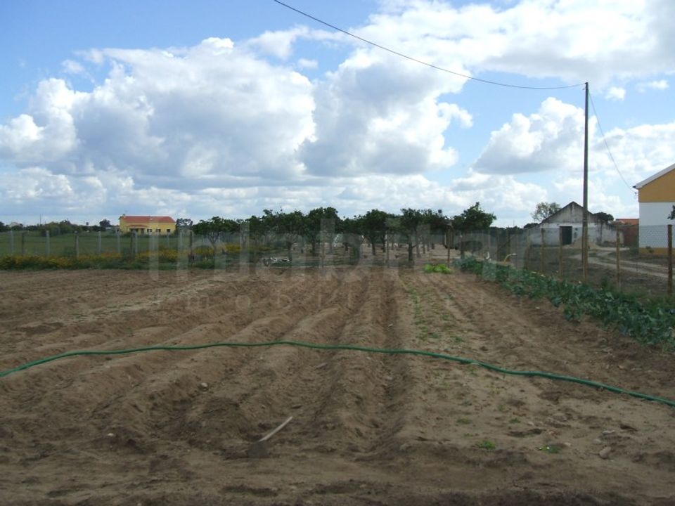 Helårsgrund i Benavente, Santarem - foto 4
