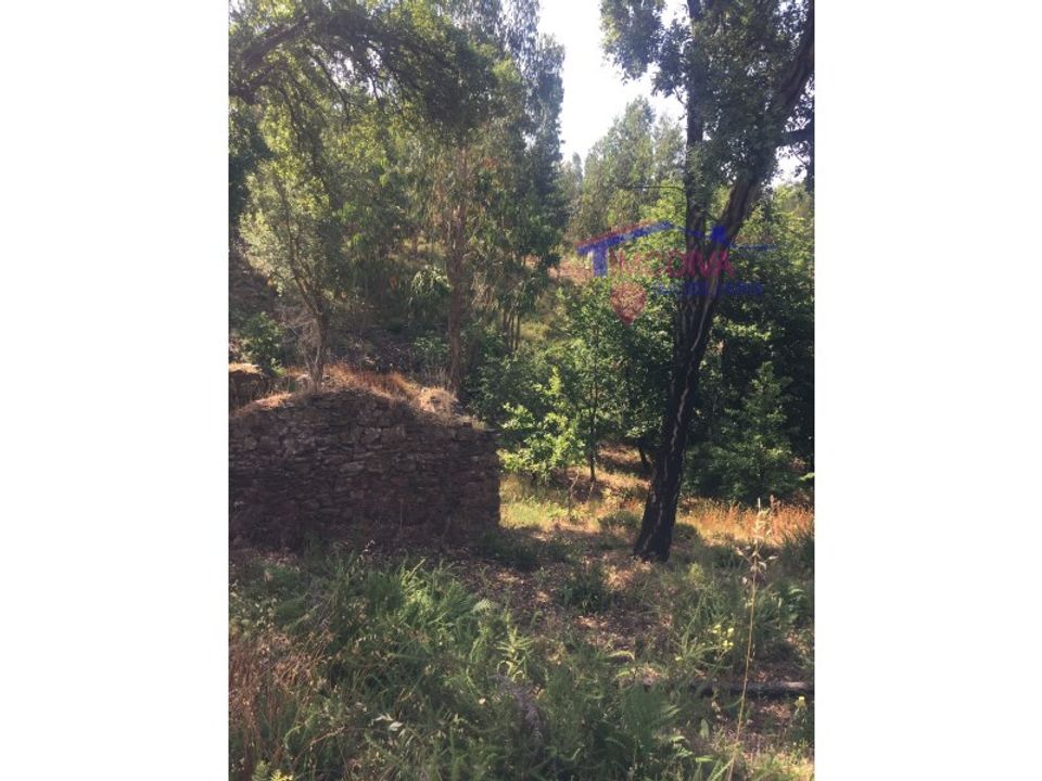 Villa i Pedrogao Grande, Leiria - foto 1