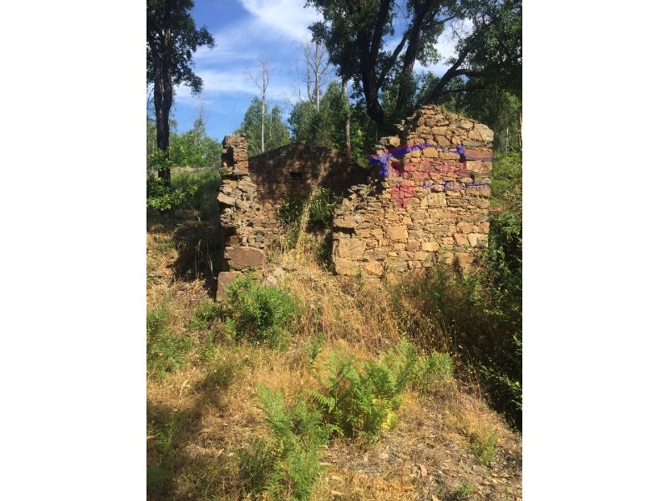 Villa i Pedrogao Grande, Leiria - foto 3