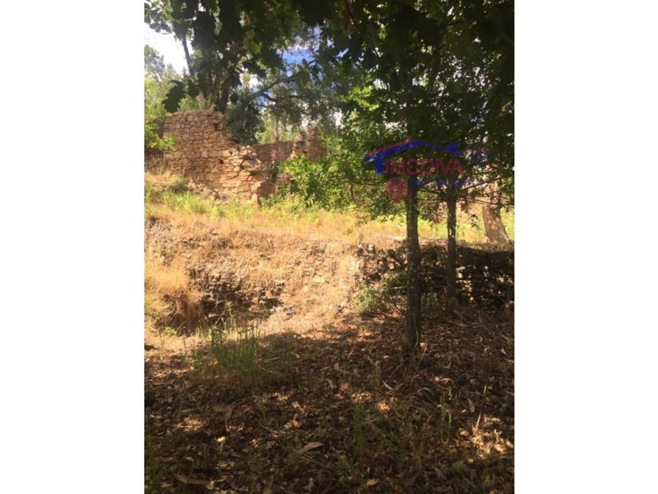 Villa i Pedrogao Grande, Leiria - foto 4
