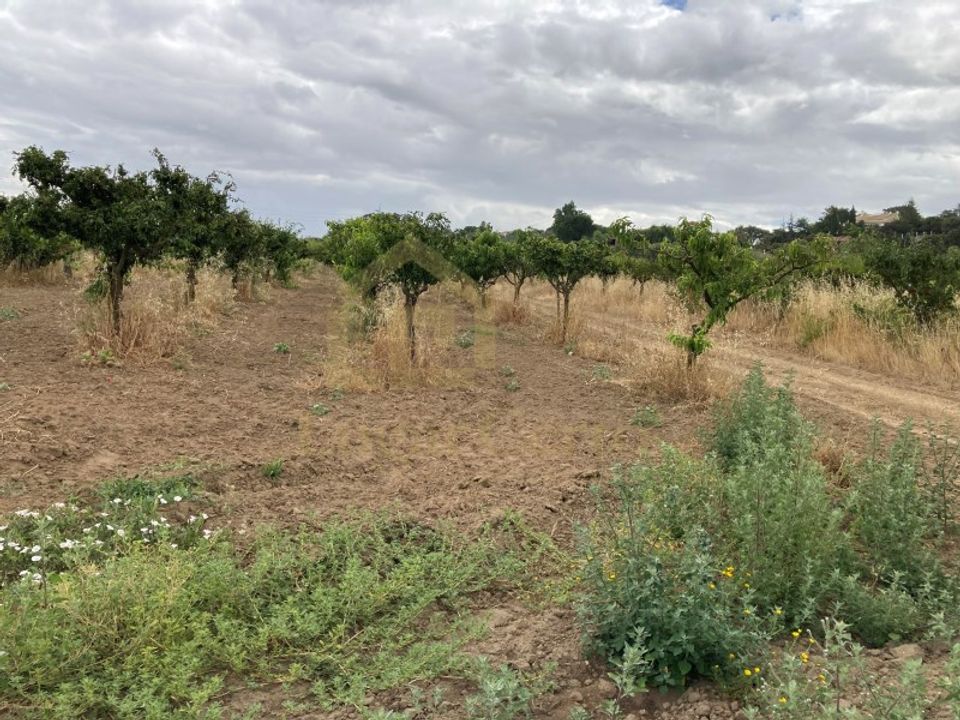 Helårsgrund i Quinta do Anjo, Setubal - foto 1