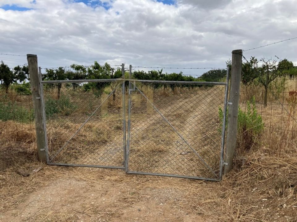 Helårsgrund i Quinta do Anjo, Setubal - foto 3
