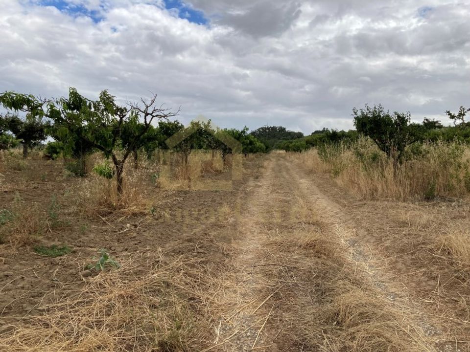 Helårsgrund i Quinta do Anjo, Setubal - foto 4