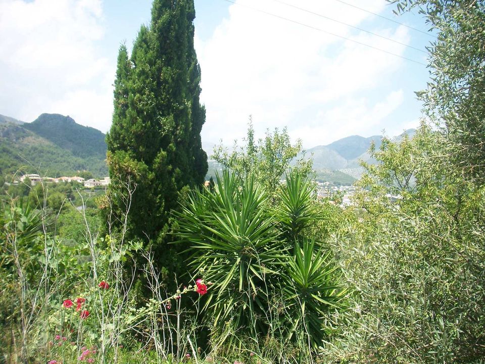 Helårsgrund i Orba, Alicante - foto 2