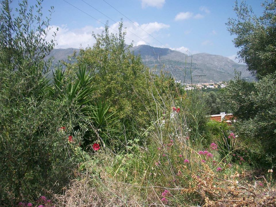 Helårsgrund i Orba, Alicante - foto 5